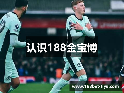 认识188金宝博